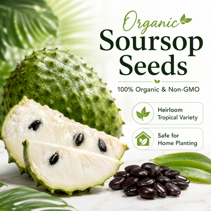 Organic Soursop (Graviola) Seeds – Non-GMO Heirloom Tropical Fruit Seeds-HS