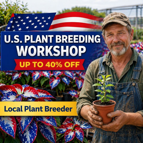 🎉Last Day Sale Off 40%🎉Celebrate America's 250th 🌱Premium Shade-Loving Hosta Seeds-HS
