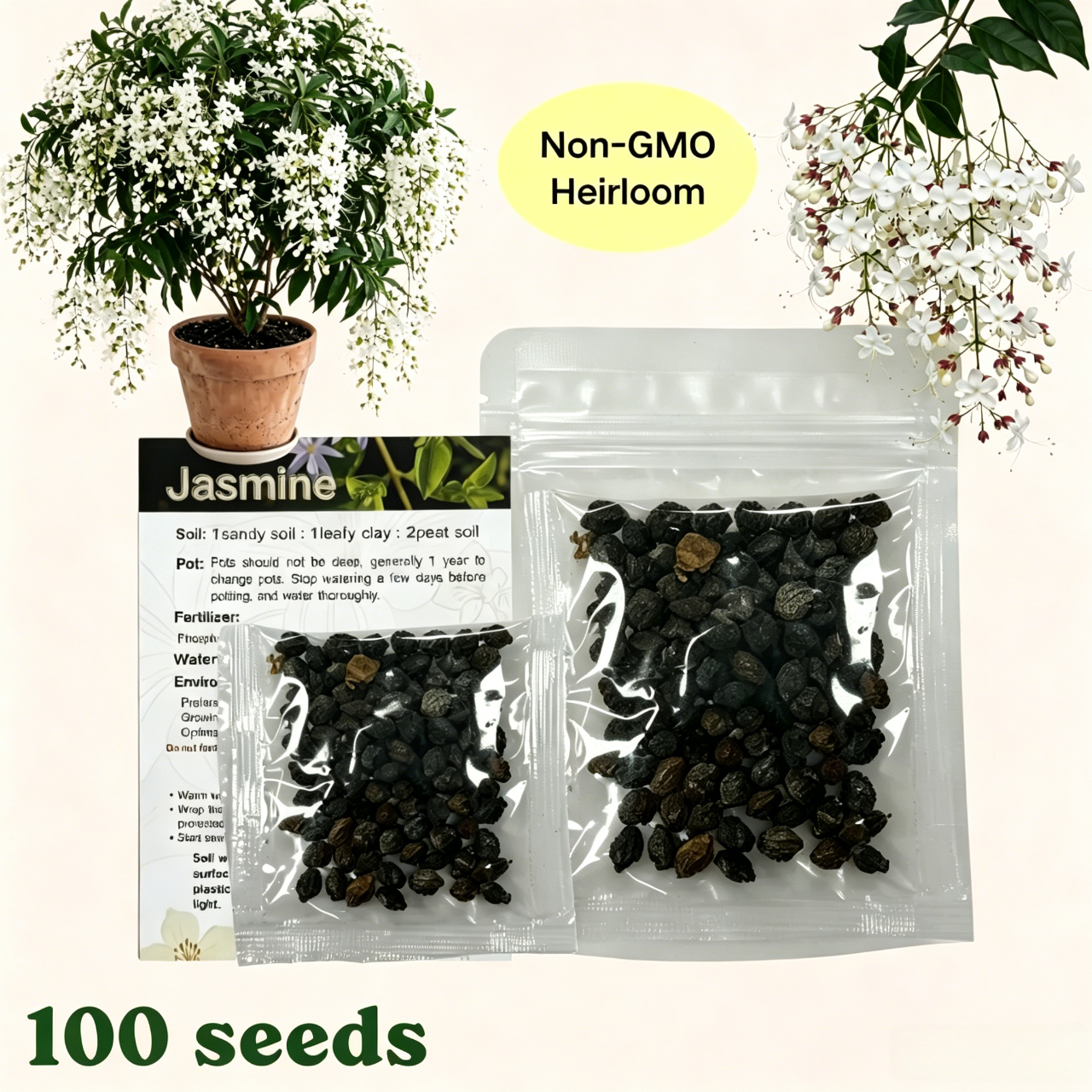 🌱 Trailing Jasmine Seeds High Germination Rate Nodding Clerodendron Easy to Grow Long Lasting Aroma for Home Garden Fragrant Blooms Rare Cascading Jasmine Perfect for Balconies & Indoor Pots-ZO