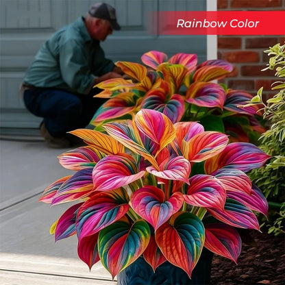 🎉Last Day Sale Off 40%🎉Celebrate America's 250th 🌱Premium Shade-Loving Hosta Seeds-HS
