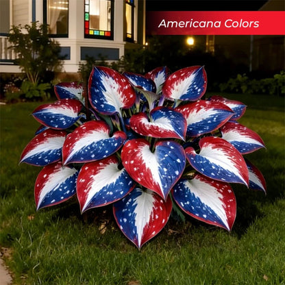🎉Last Day Sale Off 40%🎉Celebrate America's 250th 🌱Premium Shade-Loving Hosta Seeds-HS