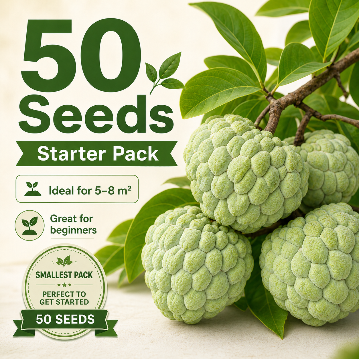 Organic Soursop (Graviola) Seeds – Non-GMO Heirloom Tropical Fruit Seeds-HS