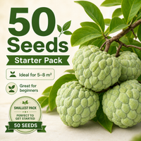 🌱50 Seeds(Starter Pack)