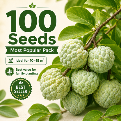 Organic Soursop (Graviola) Seeds – Non-GMO Heirloom Tropical Fruit Seeds-HS