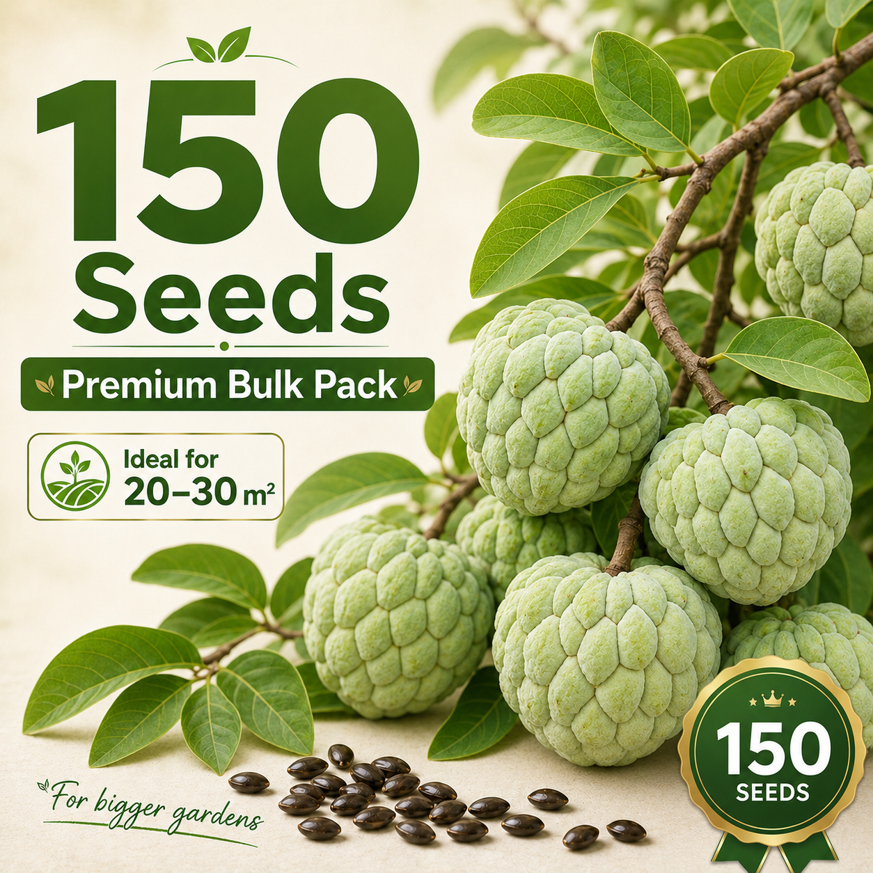 Organic Soursop (Graviola) Seeds – Non-GMO Heirloom Tropical Fruit Seeds-HS